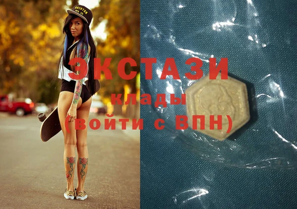 дживик Козельск